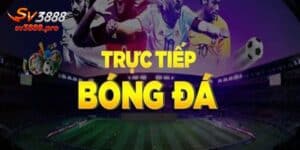 Trực Tiếp Bóng Đá Ngay Hôm Nay - Xem Trực Tiếp Miễn Phí
